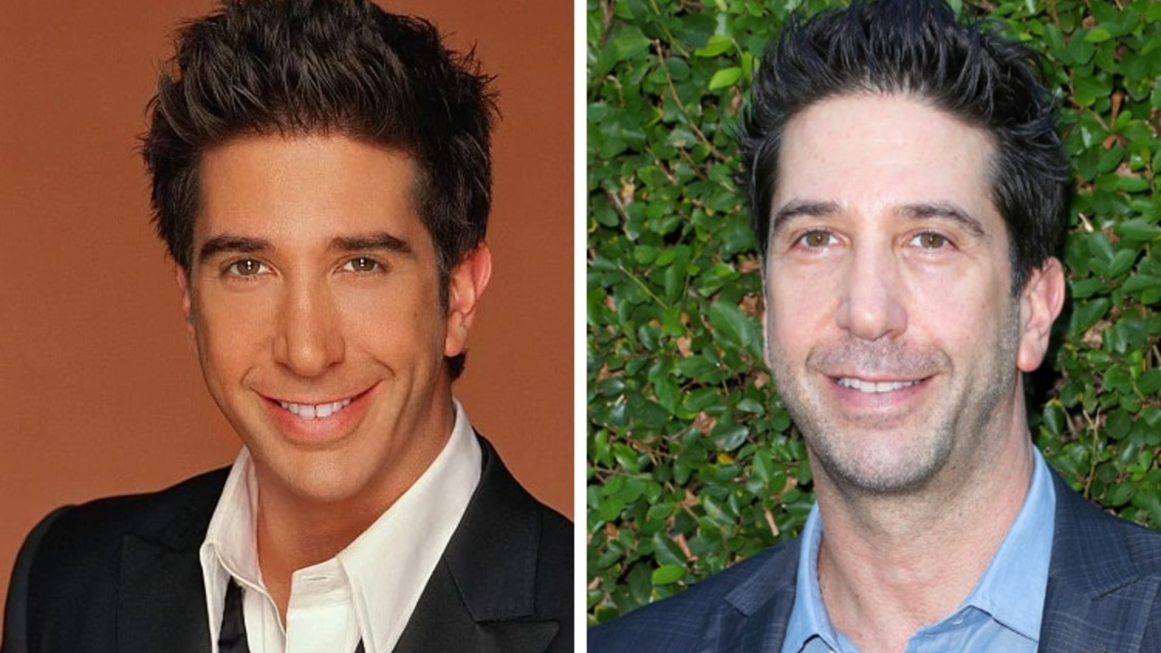 David Schwimmer before and after plastic surgery.
