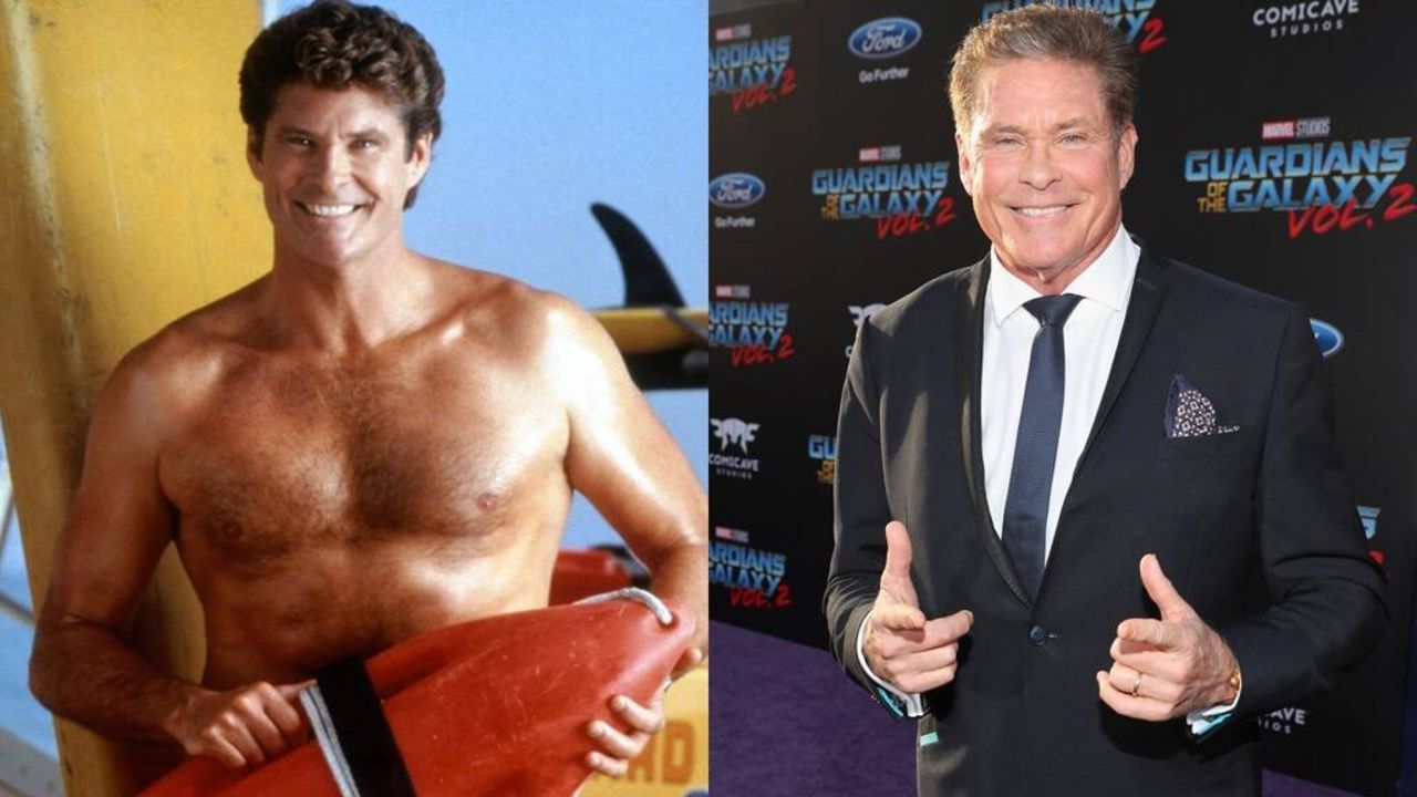 David Hasselhoff's Plastic Surgery is Making Rounds on the Internet