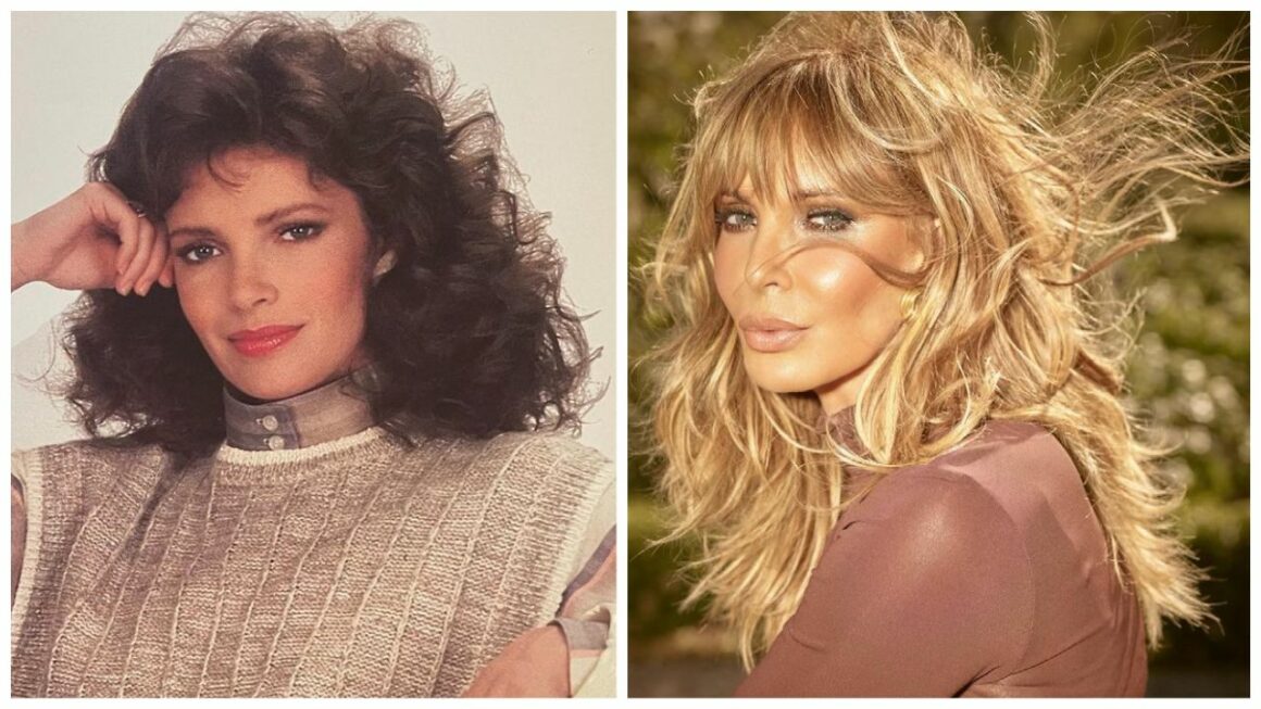 Jaclyn Smith's Plastic Surgery: The Actress Has Admitted Using Facial Peels and Lasers But Denies Plastic Surgery Treatments!