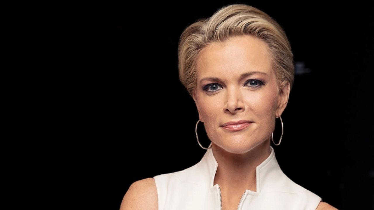 Megyn Kelly before the nose job.